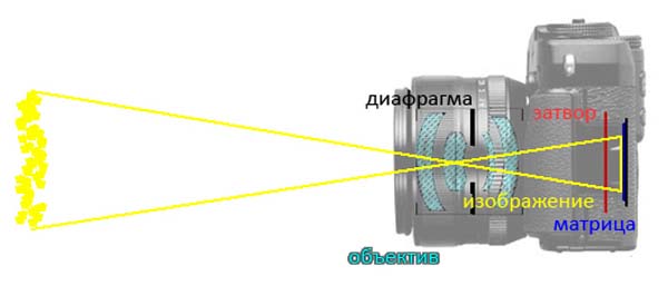 Какое изображение получается на фотопленке в фотоаппарате