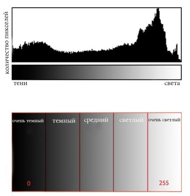 Гистограмма в фотографии что это